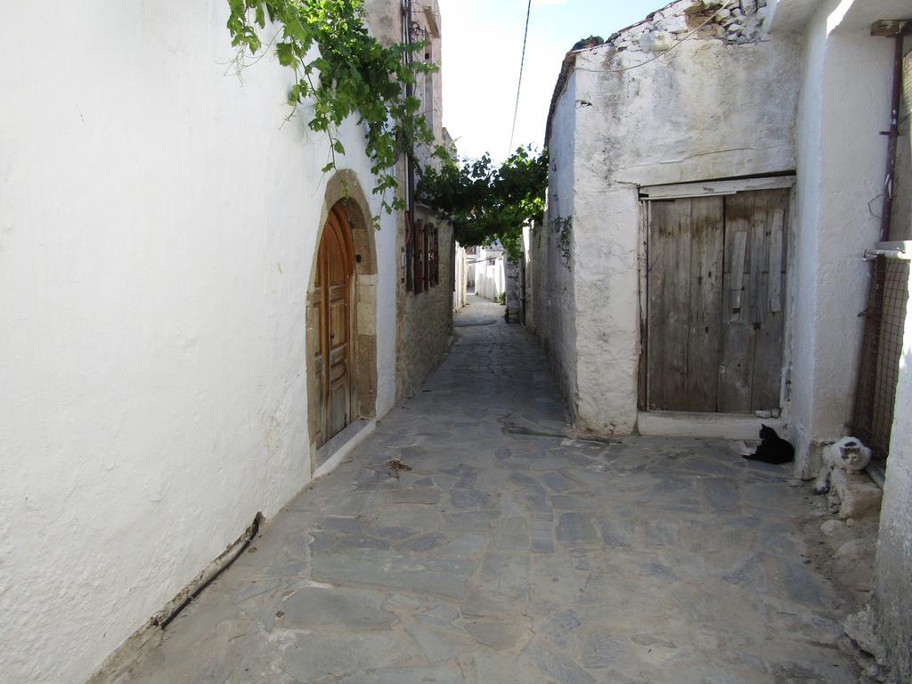 Theanos House Villa Pigí Eksteriør billede